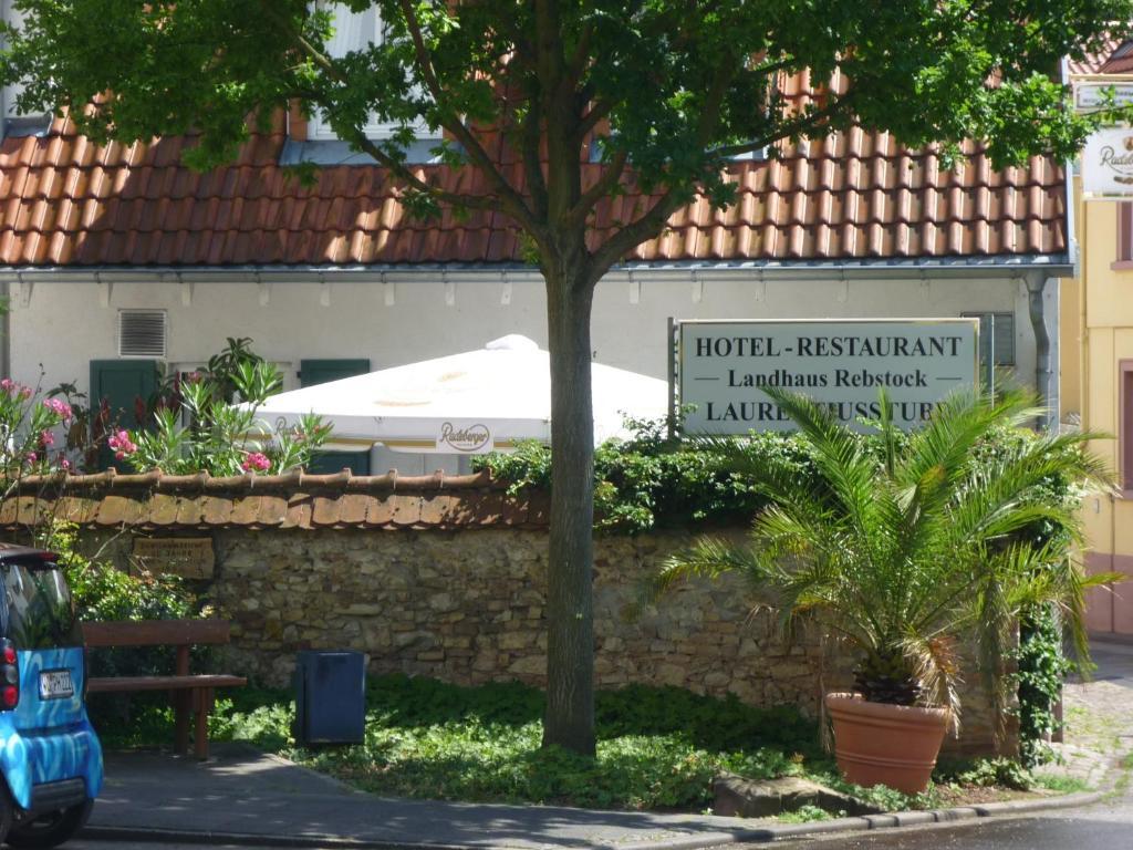 Landhaus Rebstock Worms Bagian luar foto