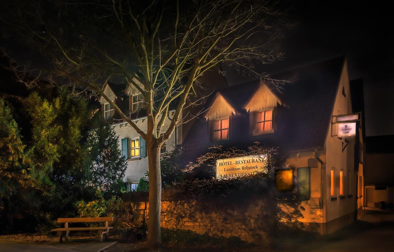 Landhaus Rebstock Worms Bagian luar foto